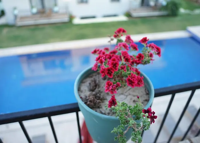 ホテル Karyada 2*