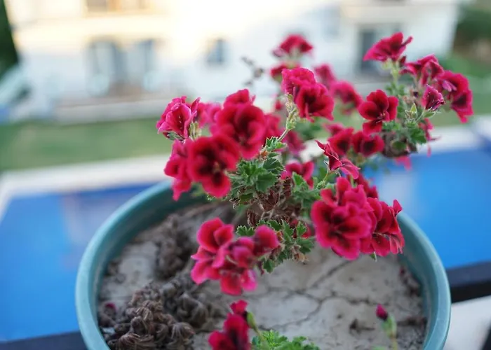 ホテル Karyada Çeşme