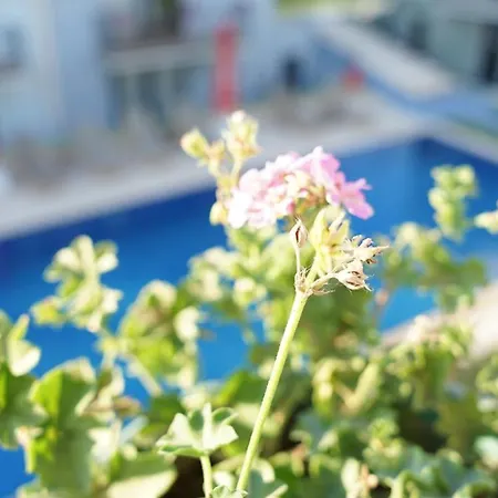 Karyada 2* Çeşme