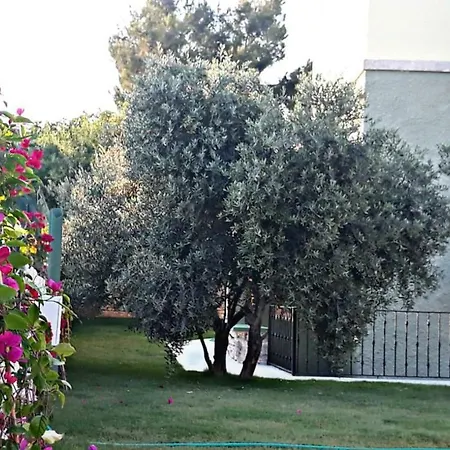Karyada 2* Çeşme